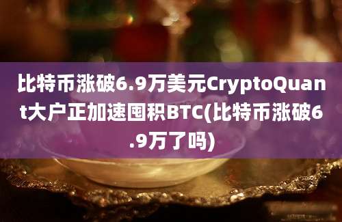 比特币涨破6.9万美元CryptoQuant大户正加速囤积BTC(比特币涨破6.9万了吗)