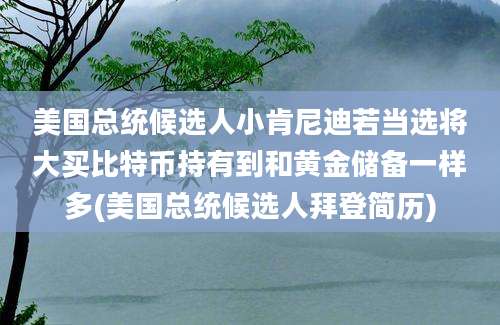 美国总统候选人小肯尼迪若当选将大买比特币持有到和黄金储备一样多(美国总统候选人拜登简历)