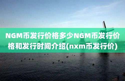 NGM币发行价格多少NGM币发行价格和发行时间介绍(nxm币发行价)