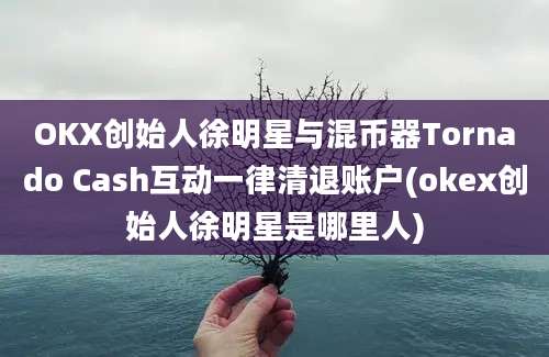 OKX创始人徐明星与混币器Tornado Cash互动一律清退账户(okex创始人徐明星是哪里人)