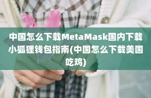 中国怎么下载MetaMask国内下载小狐狸钱包指南(中国怎么下载美国吃鸡)