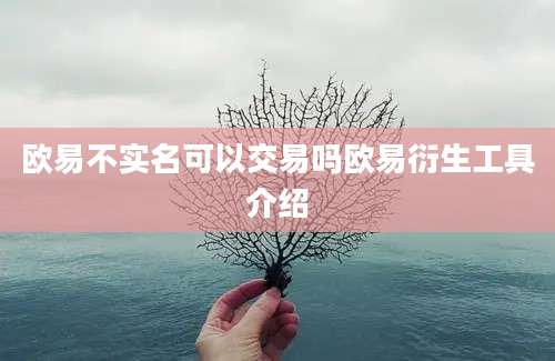 欧易不实名可以交易吗欧易衍生工具介绍