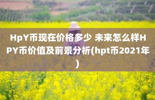 HpY币现在价格多少 未来怎么样HPY币价值及前景分析(hpt币2021年)