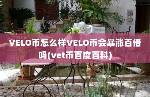 VELO币怎么样VELO币会暴涨百倍吗(vet币百度百科)