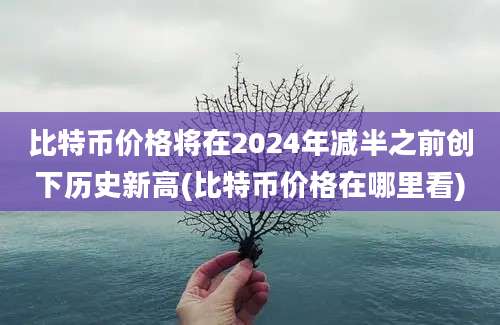 比特币价格将在2024年减半之前创下历史新高(比特币价格在哪里看)