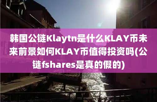 韩国公链Klaytn是什么KLAY币未来前景如何KLAY币值得投资吗(公链fshares是真的假的)