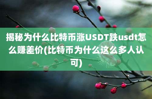 揭秘为什么比特币涨USDT跌usdt怎么赚差价(比特币为什么这么多人认可)