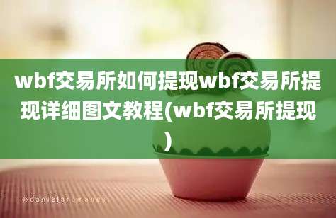 wbf交易所如何提现wbf交易所提现详细图文教程(wbf交易所提现)