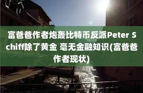 富爸爸作者炮轰比特币反派Peter Schiff除了黄金 毫无金融知识(富爸爸作者现状)