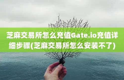 芝麻交易所怎么充值Gate.io充值详细步骤(芝麻交易所怎么安装不了)