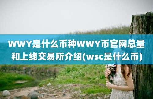 WWY是什么币种WWY币官网总量和上线交易所介绍(wsc是什么币)