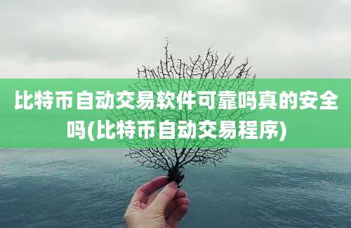 比特币自动交易软件可靠吗真的安全吗(比特币自动交易程序)