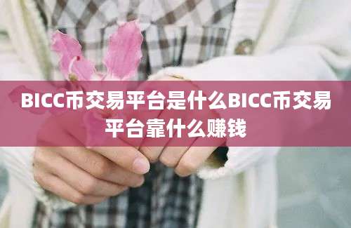 BICC币交易平台是什么BICC币交易平台靠什么赚钱