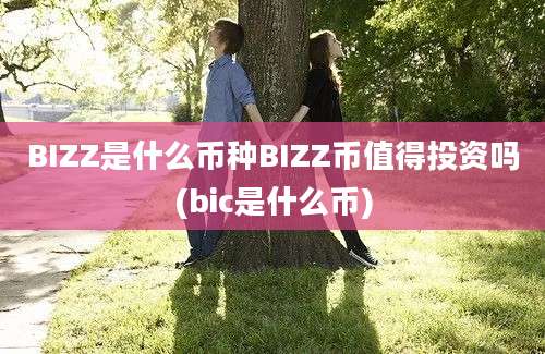 BIZZ是什么币种BIZZ币值得投资吗(bic是什么币)