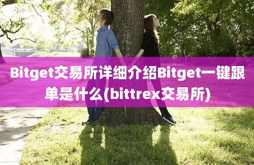 Bitget交易所详细介绍Bitget一键跟单是什么(bittrex交易所)