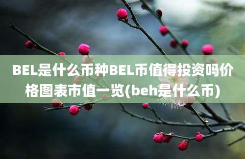 BEL是什么币种BEL币值得投资吗价格图表市值一览(beh是什么币)