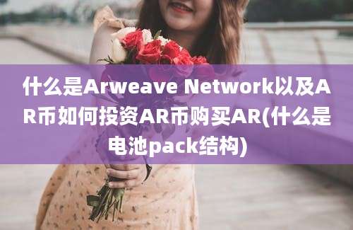 什么是Arweave Network以及AR币如何投资AR币购买AR(什么是电池pack结构)