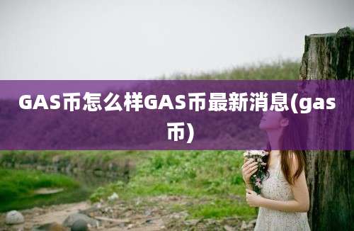 GAS币怎么样GAS币最新消息(gas 币)