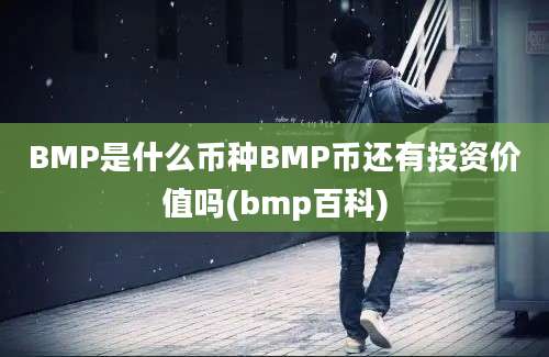 BMP是什么币种BMP币还有投资价值吗(bmp百科)