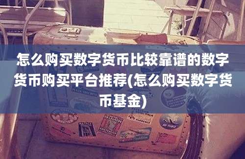 怎么购买数字货币比较靠谱的数字货币购买平台推荐(怎么购买数字货币基金)