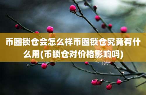 币圈锁仓会怎么样币圈锁仓究竟有什么用(币锁仓对价格影响吗)