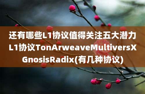 还有哪些L1协议值得关注五大潜力L1协议TonArweaveMultiversXGnosisRadix(有几种协议)