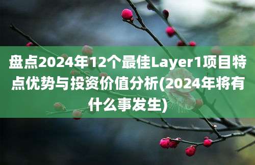 盘点2024年12个最佳Layer1项目特点优势与投资价值分析(2024年将有什么事发生)