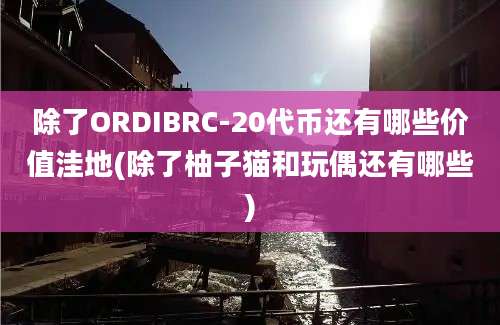 除了ORDIBRC-20代币还有哪些价值洼地(除了柚子猫和玩偶还有哪些)