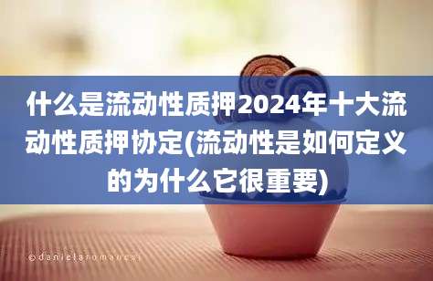 什么是流动性质押2024年十大流动性质押协定(流动性是如何定义的为什么它很重要)