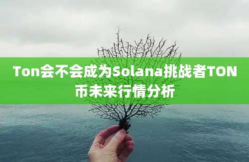 Ton会不会成为Solana挑战者TON币未来行情分析