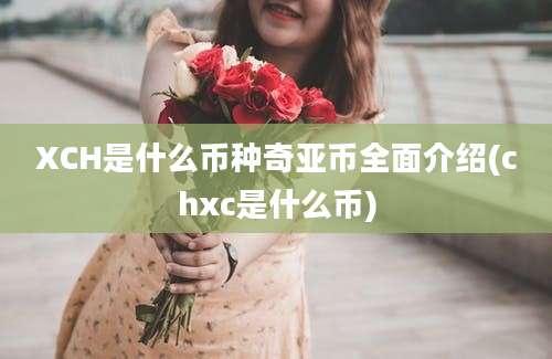 XCH是什么币种奇亚币全面介绍(chxc是什么币)