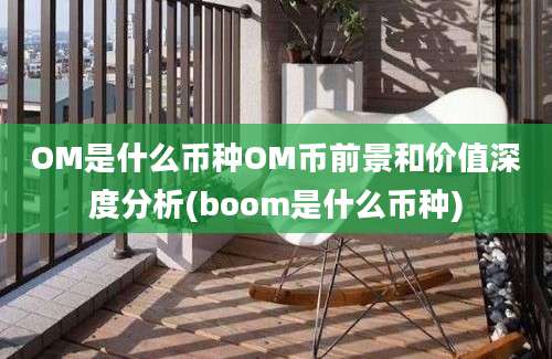 OM是什么币种OM币前景和价值深度分析(boom是什么币种)