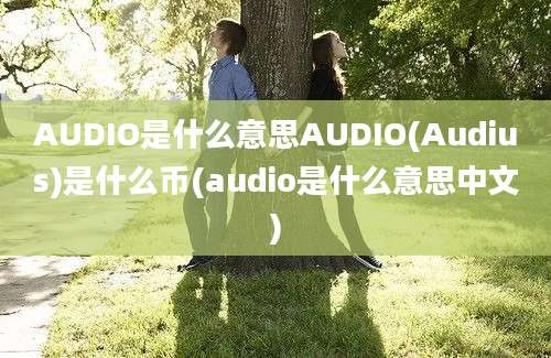 AUDIO是什么意思AUDIO(Audius)是什么币(audio是什么意思中文)