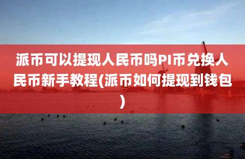 派币可以提现人民币吗PI币兑换人民币新手教程(派币如何提现到钱包)