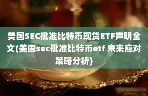 美国SEC批准比特币现货ETF声明全文(美国sec批准比特币etf 未来应对策略分析)