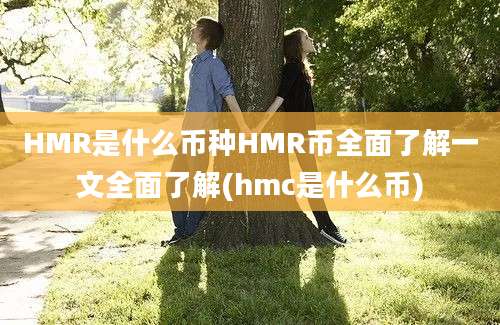 HMR是什么币种HMR币全面了解一文全面了解(hmc是什么币)