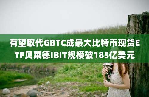 有望取代GBTC成最大比特币现货ETF贝莱德IBIT规模破185亿美元