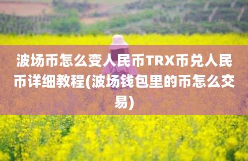 波场币怎么变人民币TRX币兑人民币详细教程(波场钱包里的币怎么交易)