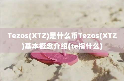 Tezos(XTZ)是什么币Tezos(XTZ)基本概念介绍(te指什么)