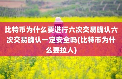 比特币为什么要进行六次交易确认六次交易确认一定安全吗(比特币为什么要拉人)