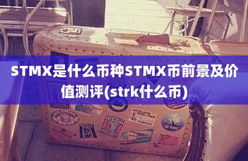 STMX是什么币种STMX币前景及价值测评(strk什么币)