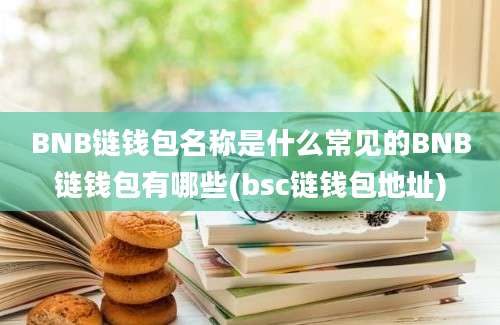 BNB链钱包名称是什么常见的BNB链钱包有哪些(bsc链钱包地址)