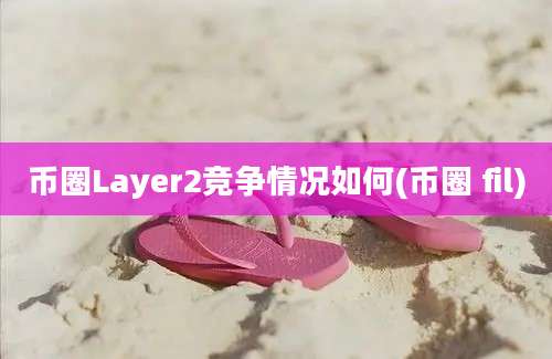 币圈Layer2竞争情况如何(币圈 fil)