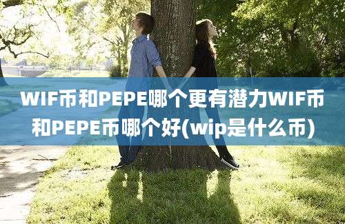 WIF币和PEPE哪个更有潜力WIF币和PEPE币哪个好(wip是什么币)