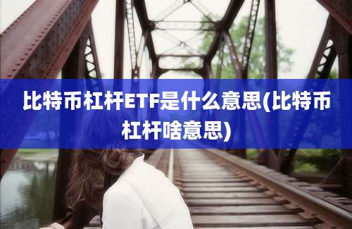 比特币杠杆ETF是什么意思(比特币杠杆啥意思)